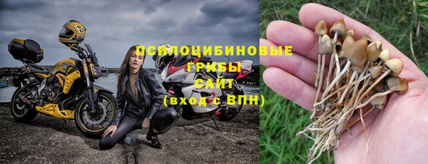 ГАЛЛЮЦИНОГЕННЫЕ ГРИБЫ Балабаново