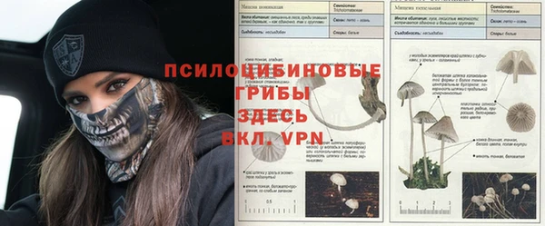 мяу мяу мука Балахна