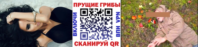 Галлюциногенные грибы Magic Shrooms купить наркоту Светогорск